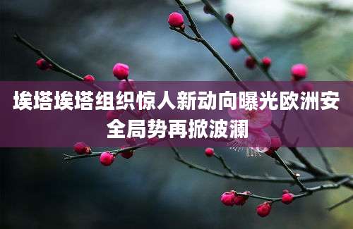 埃塔埃塔组织惊人新动向曝光欧洲安全局势再掀波澜
