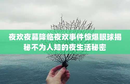 夜欢夜幕降临夜欢事件惊爆眼球揭秘不为人知的夜生活秘密