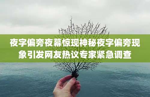 夜字偏旁夜幕惊现神秘夜字偏旁现象引发网友热议专家紧急调查