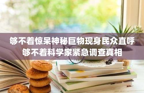 够不着惊呆神秘巨物现身民众直呼够不着科学家紧急调查真相