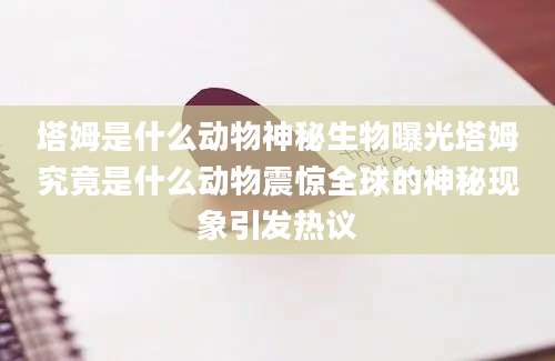 塔姆是什么动物神秘生物曝光塔姆究竟是什么动物震惊全球的神秘现象引发热议