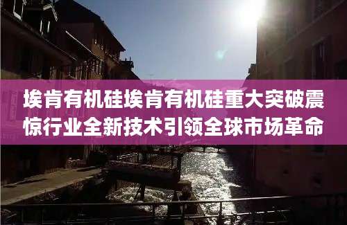 埃肯有机硅埃肯有机硅重大突破震惊行业全新技术引领全球市场革命