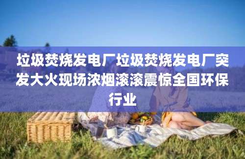 垃圾焚烧发电厂垃圾焚烧发电厂突发大火现场浓烟滚滚震惊全国环保行业