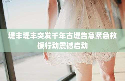 堤丰堤丰突发千年古堤告急紧急救援行动震撼启动