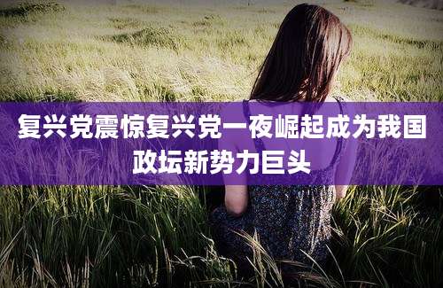 复兴党震惊复兴党一夜崛起成为我国政坛新势力巨头