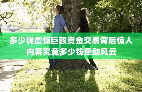 多少钱震惊巨额资金交易背后惊人内幕究竟多少钱牵动风云