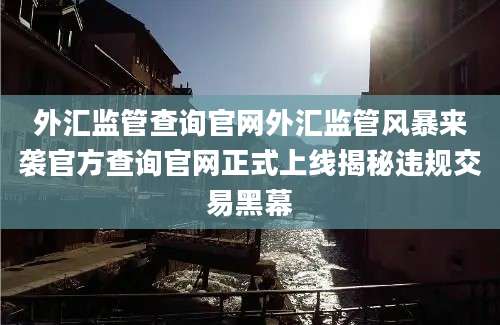外汇监管查询官网外汇监管风暴来袭官方查询官网正式上线揭秘违规交易黑幕