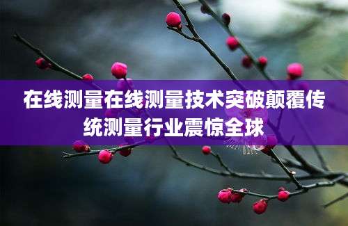 在线测量在线测量技术突破颠覆传统测量行业震惊全球