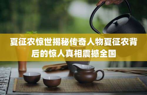 夏征农惊世揭秘传奇人物夏征农背后的惊人真相震撼全国