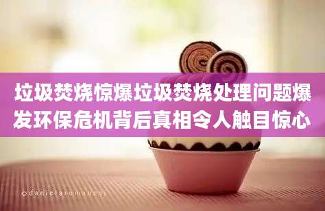 垃圾焚烧惊爆垃圾焚烧处理问题爆发环保危机背后真相令人触目惊心