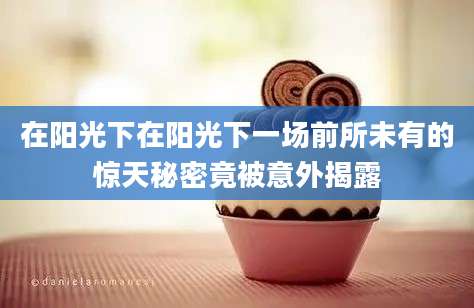 在阳光下在阳光下一场前所未有的惊天秘密竟被意外揭露
