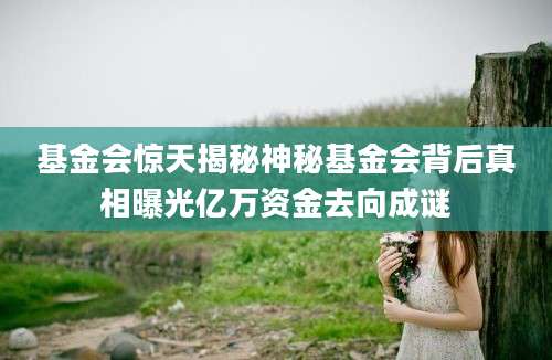 基金会惊天揭秘神秘基金会背后真相曝光亿万资金去向成谜