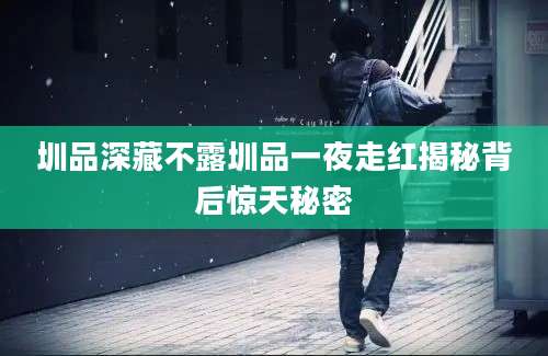 圳品深藏不露圳品一夜走红揭秘背后惊天秘密
