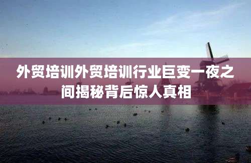 外贸培训外贸培训行业巨变一夜之间揭秘背后惊人真相