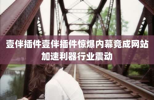 壹伴插件壹伴插件惊爆内幕竟成网站加速利器行业震动