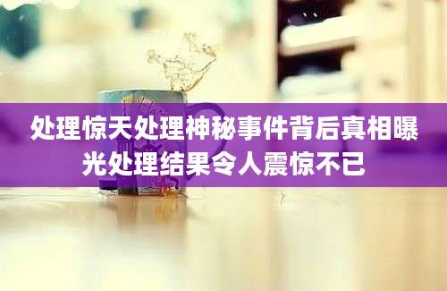 处理惊天处理神秘事件背后真相曝光处理结果令人震惊不已