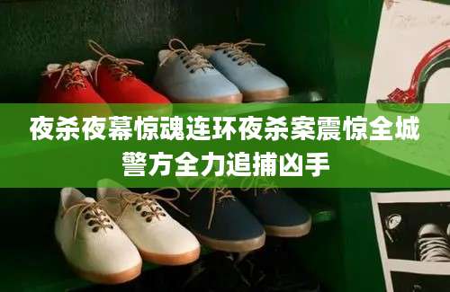 夜杀夜幕惊魂连环夜杀案震惊全城警方全力追捕凶手