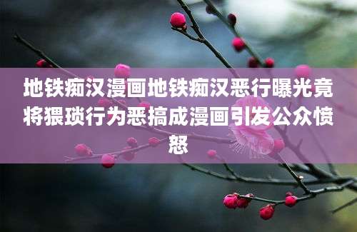 地铁痴汉漫画地铁痴汉恶行曝光竟将猥琐行为恶搞成漫画引发公众愤怒