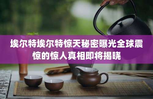 埃尔特埃尔特惊天秘密曝光全球震惊的惊人真相即将揭晓