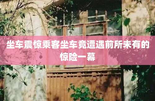 坐车震惊乘客坐车竟遭遇前所未有的惊险一幕