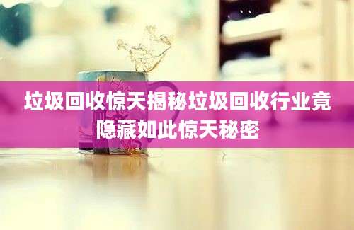 垃圾回收惊天揭秘垃圾回收行业竟隐藏如此惊天秘密