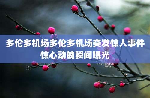 多伦多机场多伦多机场突发惊人事件惊心动魄瞬间曝光