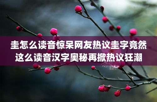 圭怎么读音惊呆网友热议圭字竟然这么读音汉字奥秘再掀热议狂潮