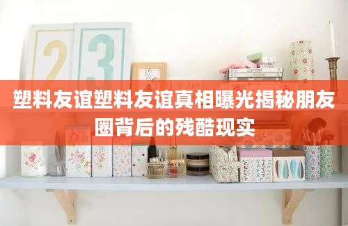 塑料友谊塑料友谊真相曝光揭秘朋友圈背后的残酷现实