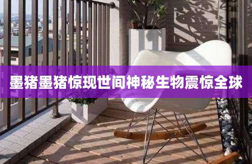 墨猪墨猪惊现世间神秘生物震惊全球
