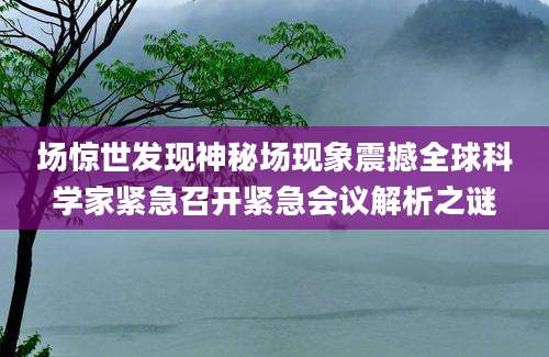 场惊世发现神秘场现象震撼全球科学家紧急召开紧急会议解析之谜