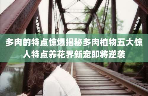 多肉的特点惊爆揭秘多肉植物五大惊人特点养花界新宠即将逆袭