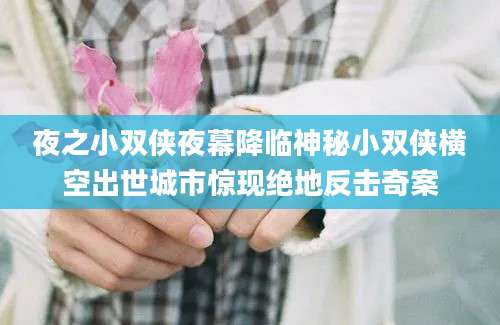 夜之小双侠夜幕降临神秘小双侠横空出世城市惊现绝地反击奇案