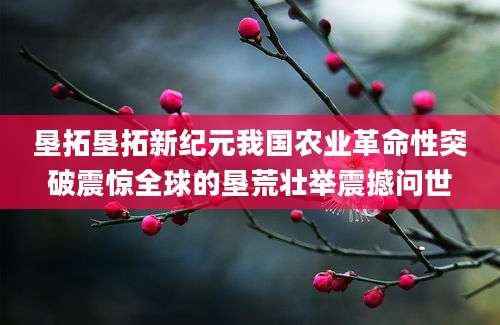 垦拓垦拓新纪元我国农业革命性突破震惊全球的垦荒壮举震撼问世