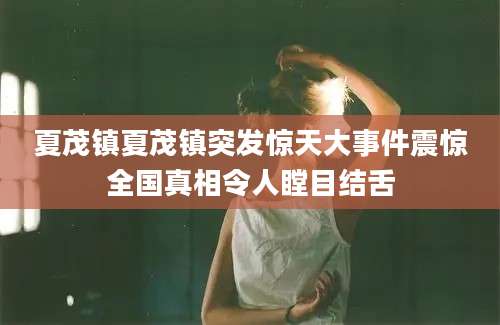 夏茂镇夏茂镇突发惊天大事件震惊全国真相令人瞠目结舌
