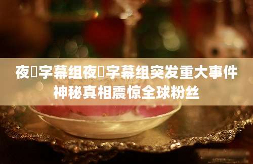 夜桜字幕组夜桜字幕组突发重大事件神秘真相震惊全球粉丝