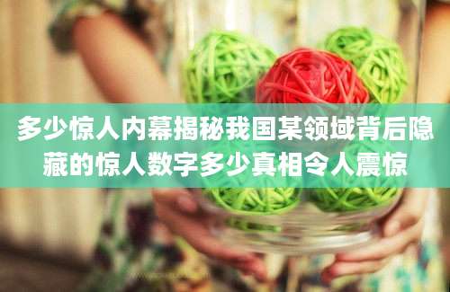 多少惊人内幕揭秘我国某领域背后隐藏的惊人数字多少真相令人震惊