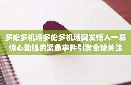 多伦多机场多伦多机场突发惊人一幕惊心动魄的紧急事件引发全球关注