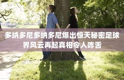 多纳多尼多纳多尼爆出惊天秘密足球界风云再起真相令人咋舌