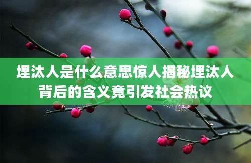 埋汰人是什么意思惊人揭秘埋汰人背后的含义竟引发社会热议