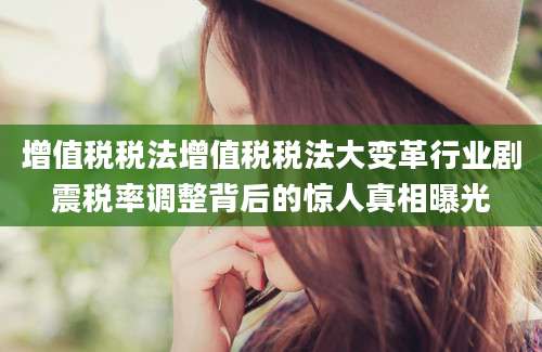 增值税税法增值税税法大变革行业剧震税率调整背后的惊人真相曝光