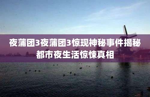 夜蒲团3夜蒲团3惊现神秘事件揭秘都市夜生活惊悚真相