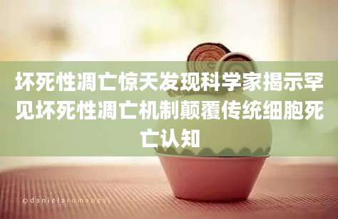 坏死性凋亡惊天发现科学家揭示罕见坏死性凋亡机制颠覆传统细胞死亡认知