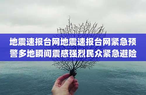 地震速报台网地震速报台网紧急预警多地瞬间震感强烈民众紧急避险