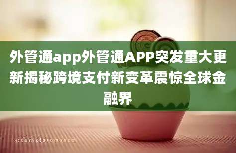 外管通app外管通APP突发重大更新揭秘跨境支付新变革震惊全球金融界