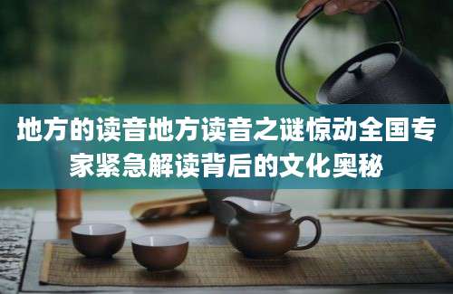 地方的读音地方读音之谜惊动全国专家紧急解读背后的文化奥秘