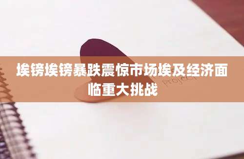埃镑埃镑暴跌震惊市场埃及经济面临重大挑战