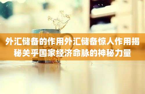 外汇储备的作用外汇储备惊人作用揭秘关乎国家经济命脉的神秘力量