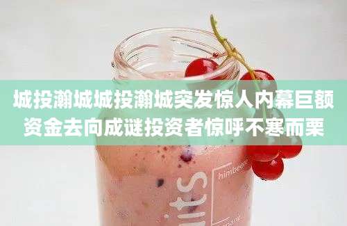 城投瀚城城投瀚城突发惊人内幕巨额资金去向成谜投资者惊呼不寒而栗