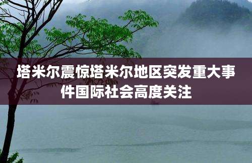 塔米尔震惊塔米尔地区突发重大事件国际社会高度关注