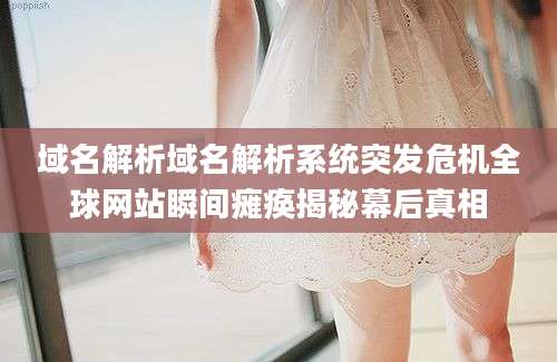 域名解析域名解析系统突发危机全球网站瞬间瘫痪揭秘幕后真相